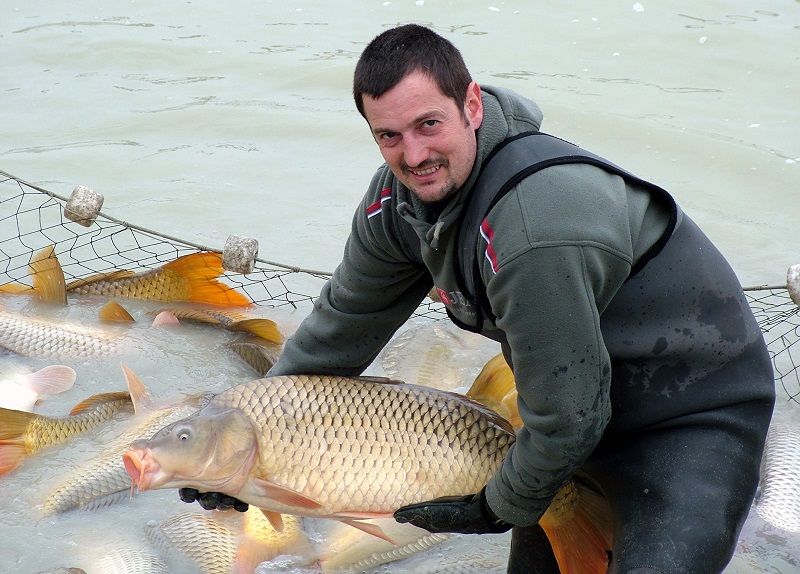 Akasztói szikiponty – ponty jó, a Kiskunság szívében - image description