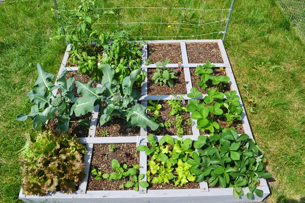 LÉGY KERTÉSZ! – Mert lehet néhány négyzetméteren is... - image description