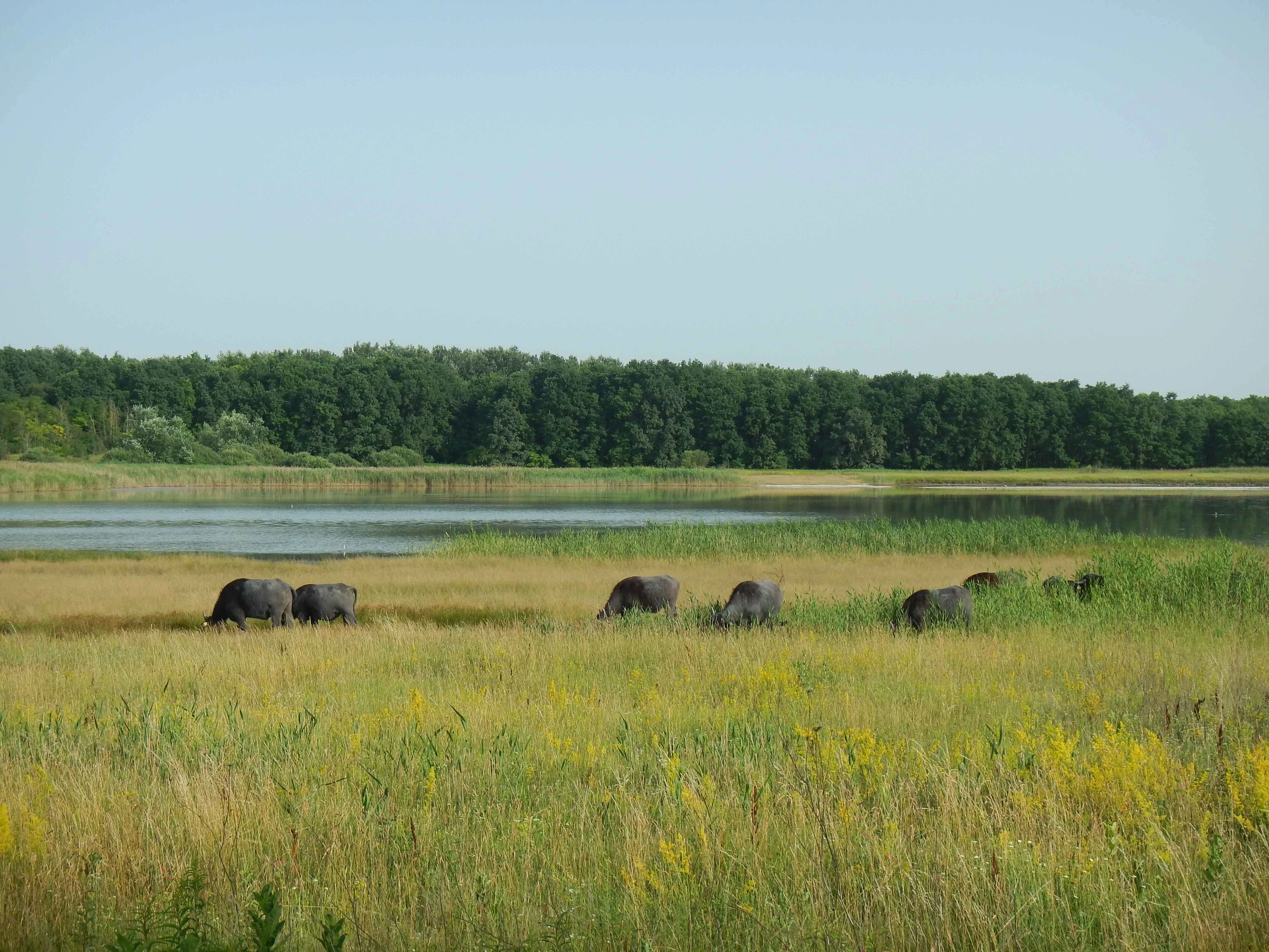 BÁCSKAI GYÖNGYSZEMEK AZ EUROVELO 13 KERÉKPÁROS ÚTVONAL MENTÉN - image description