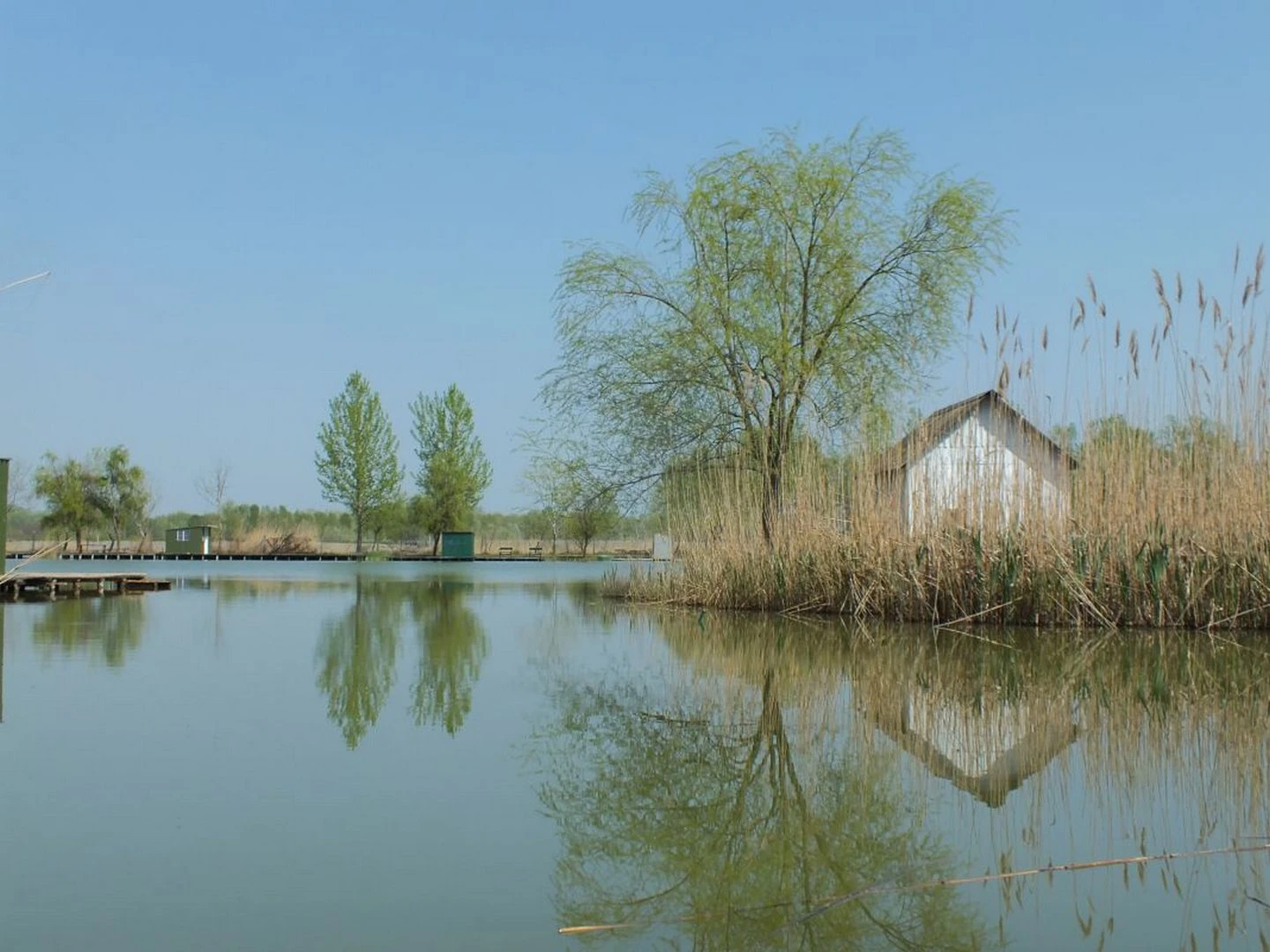 A TABDI  PÉK-TÓ - image description