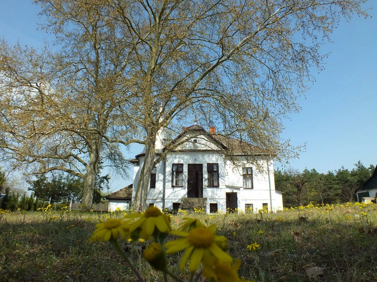 Dankó Pista villa - image description