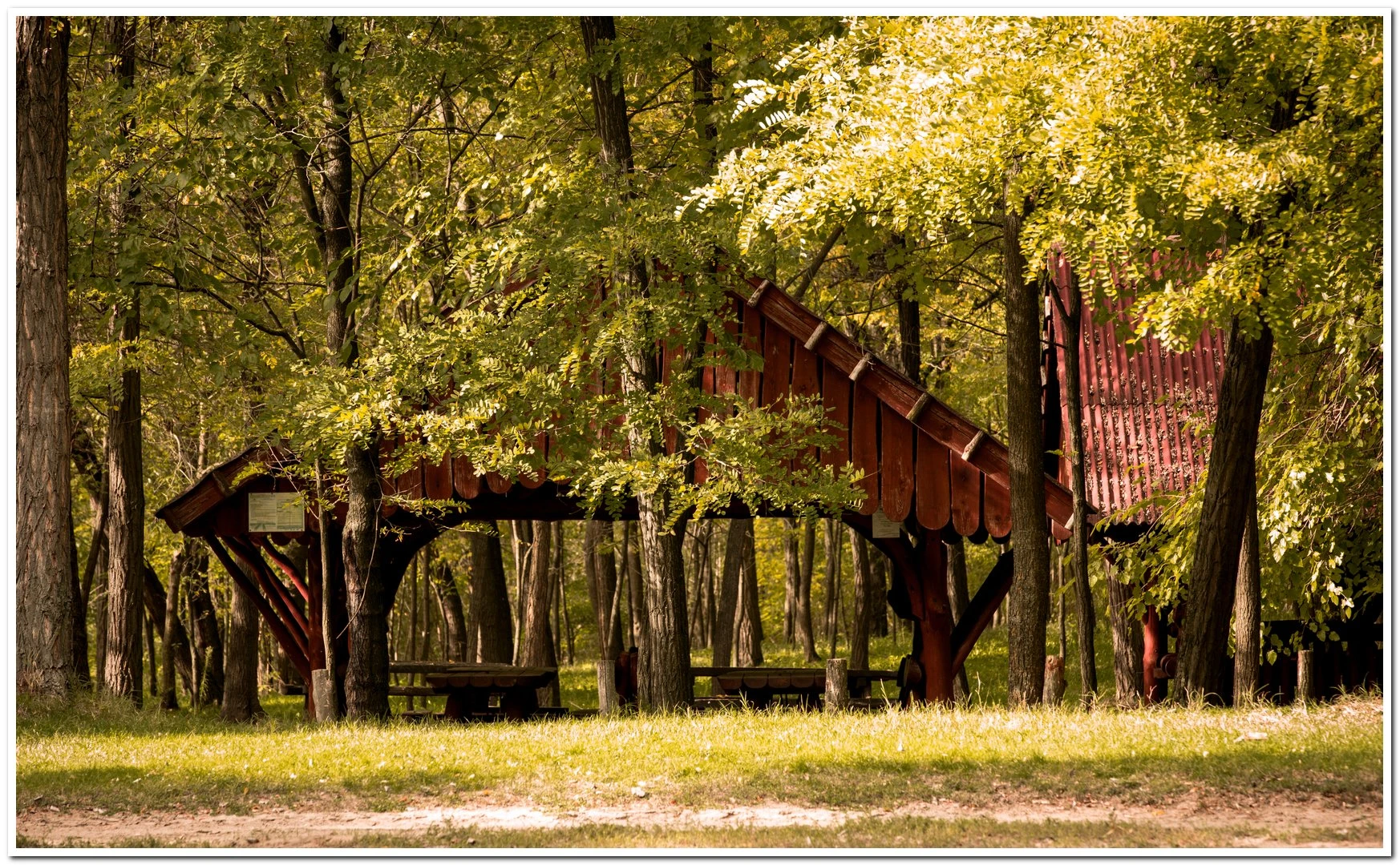 Császártöltési Parkerdő - image description