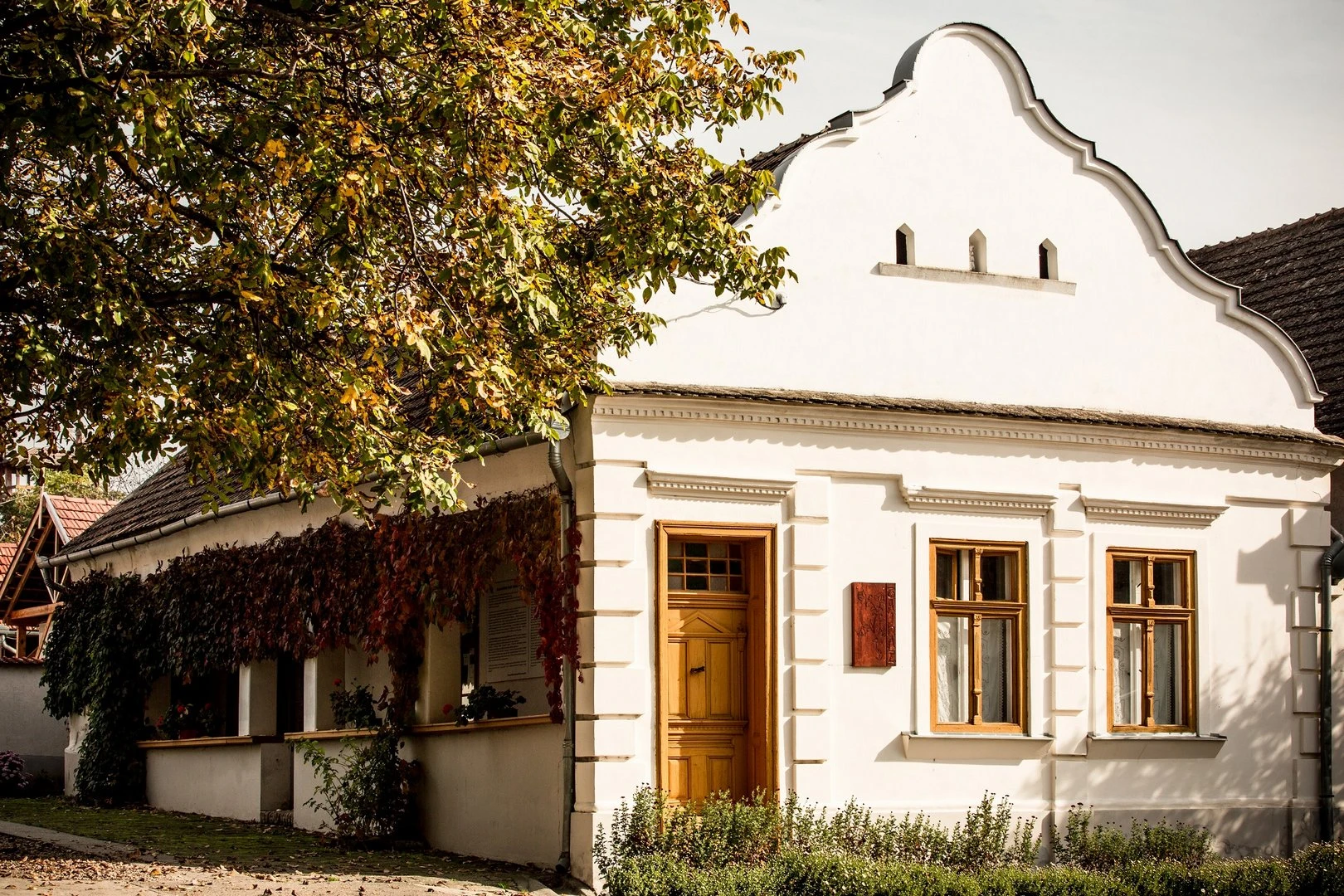 Sváb Tájház - image description