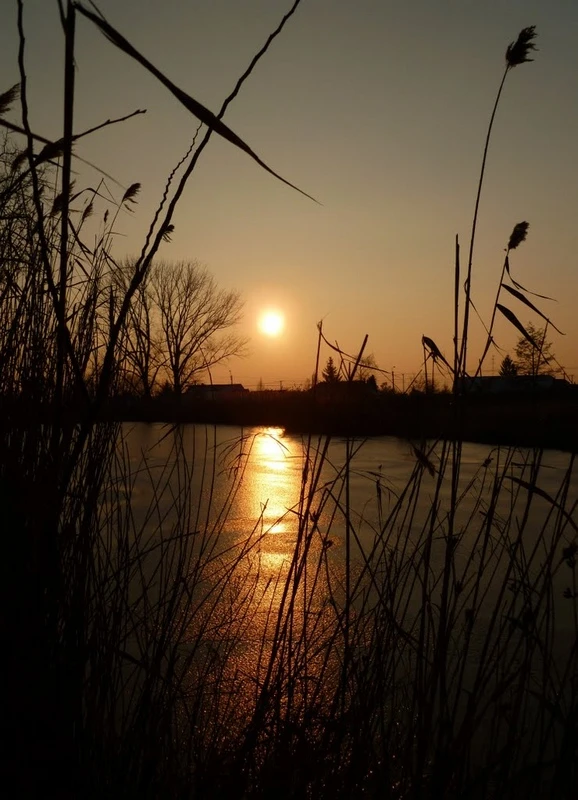 Katymári Batinkov-tó - image description