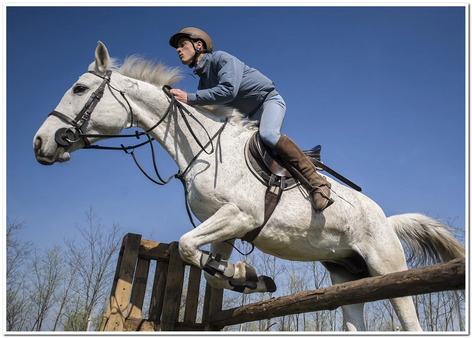 Albus Unicornis Lovarda és Vendégház - image description