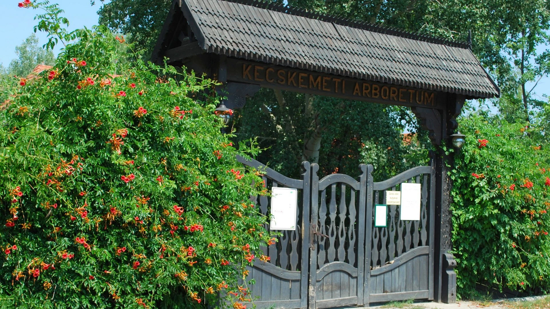 Kecskeméti Arborétum - image description