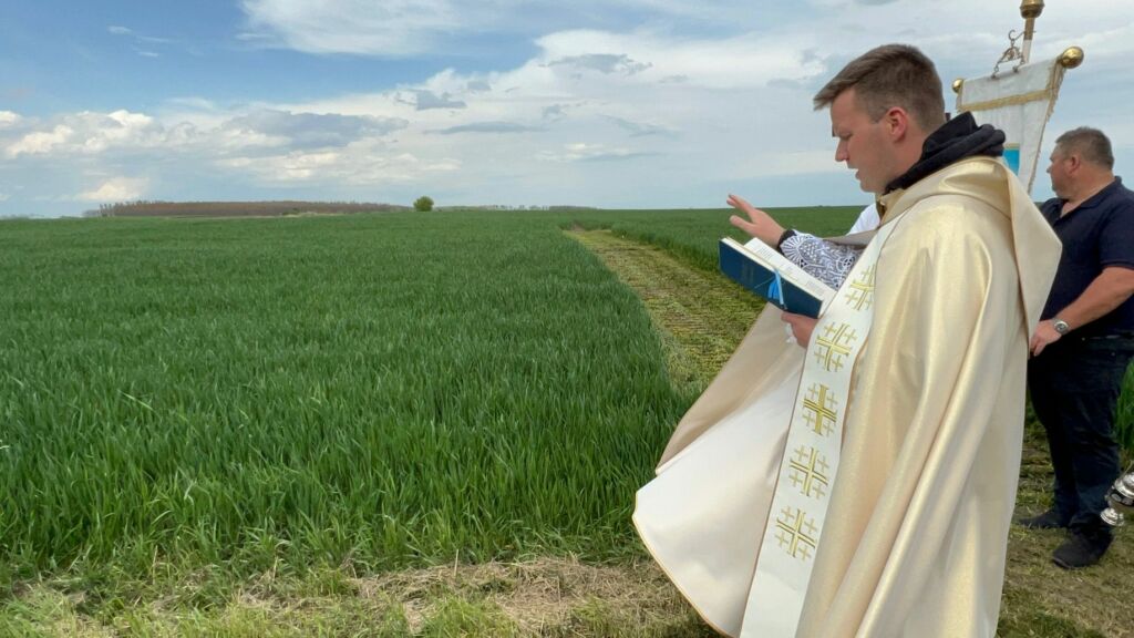 BÚZASZENTELÉS DUNAVECSÉN, SZENT MÁRK ÜNNEPÉN - image description