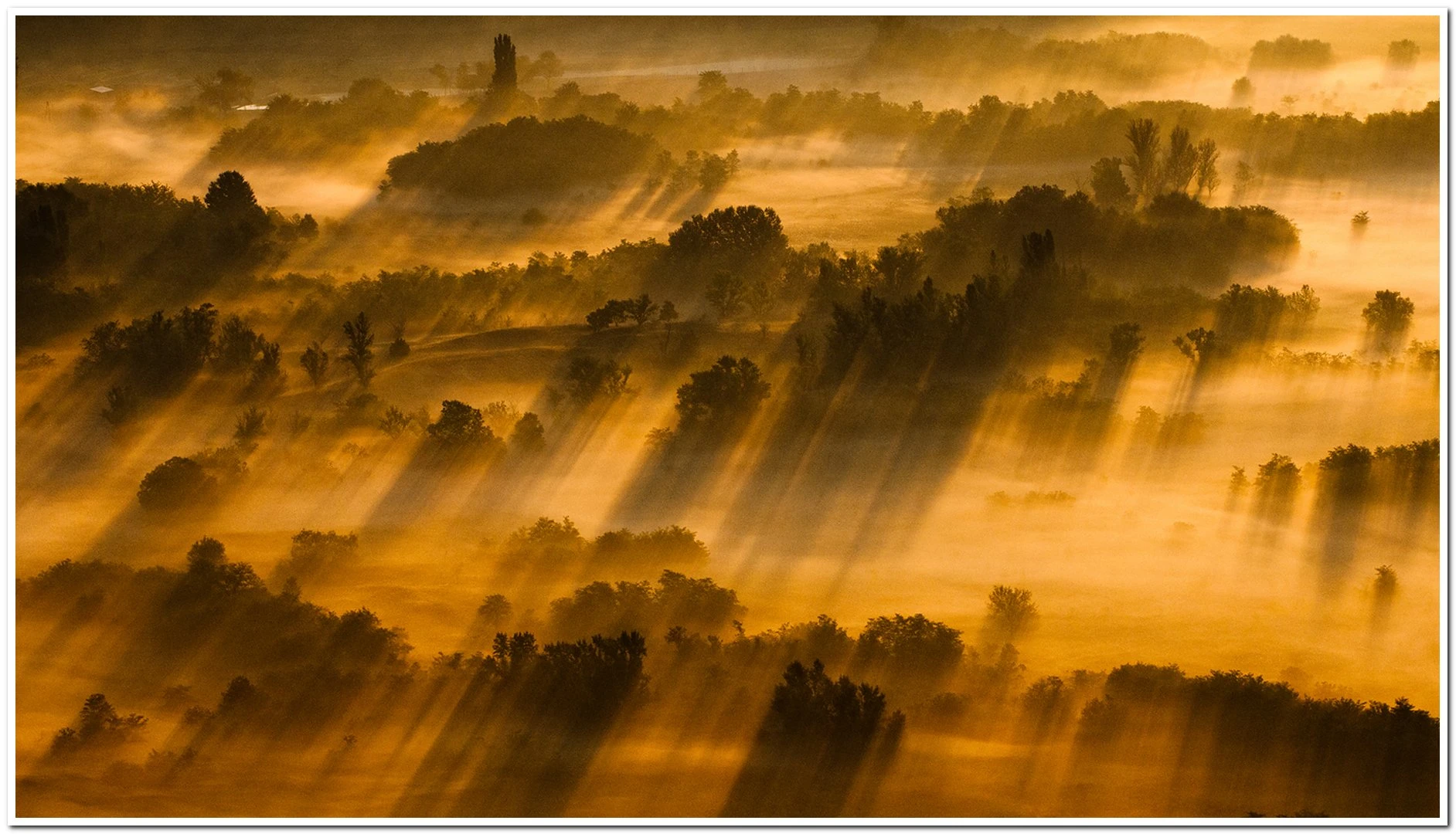 Őszi Boróka Kupa - image description