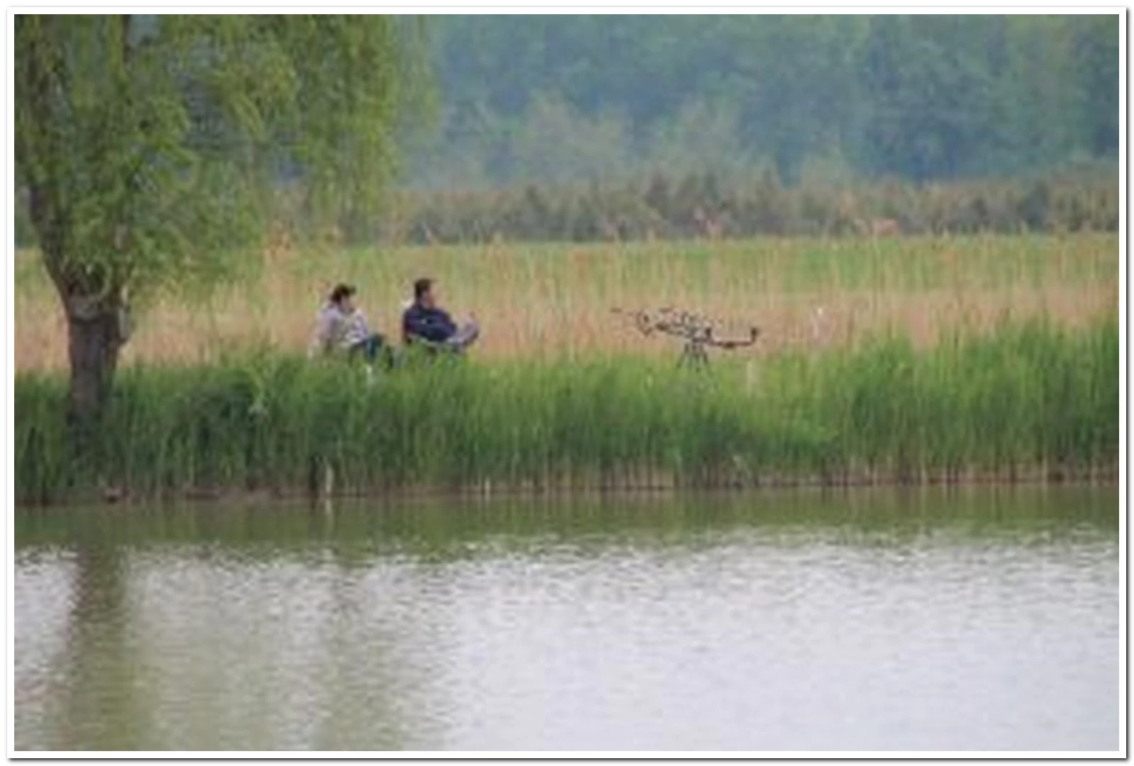 Kozák-tó - image description