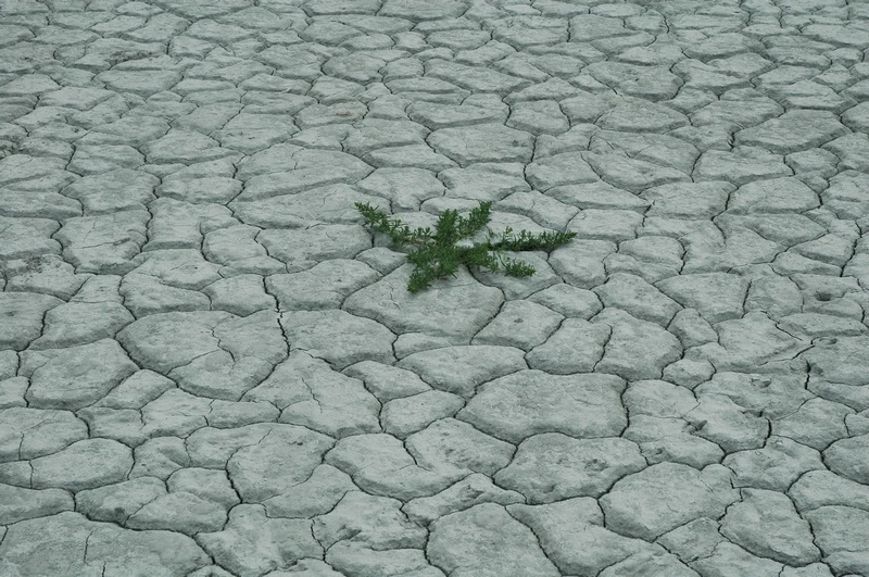 Felső-Kiskunsági Szikes tavak - image description