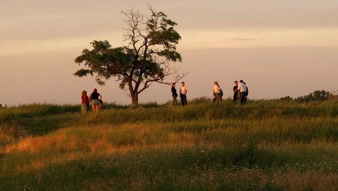 Gyógyítódomb - image description