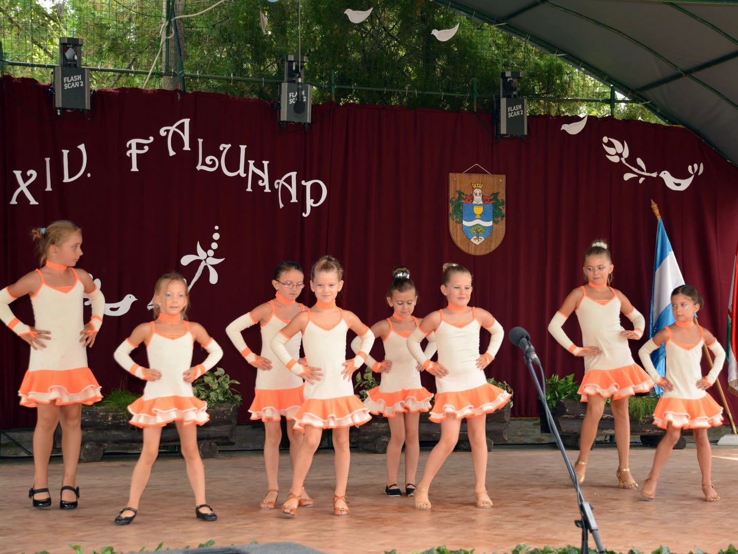 Tassi Falunap - image description