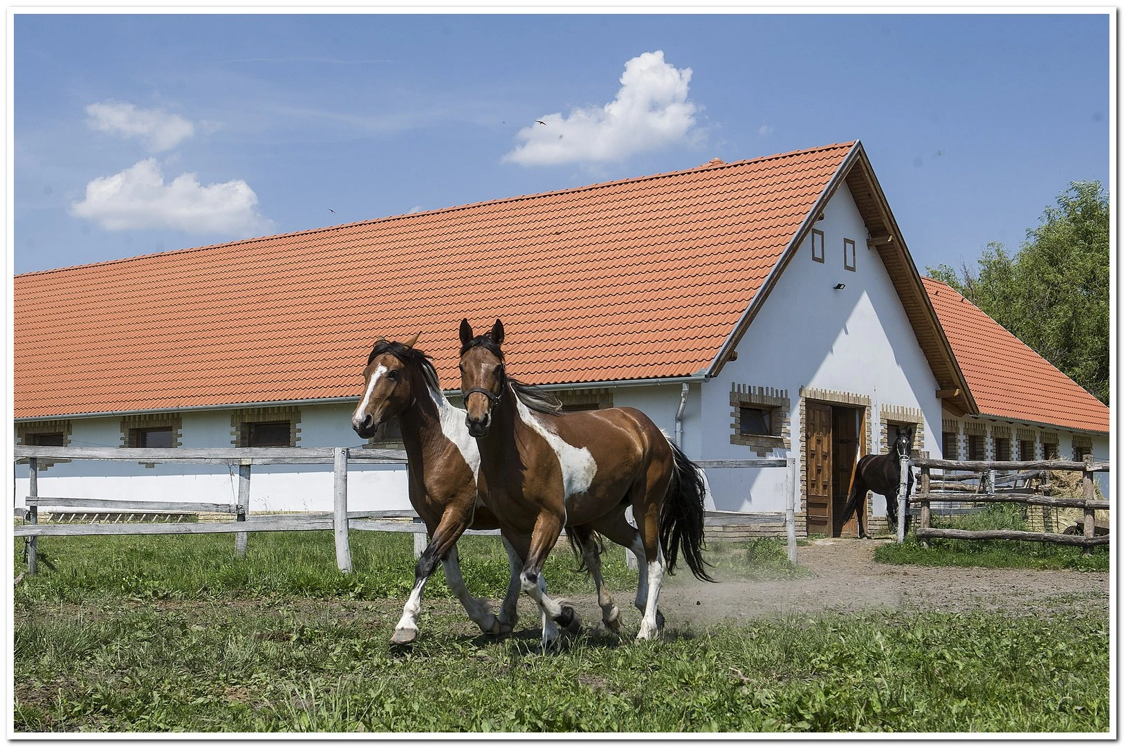 István Lovastanya - image description