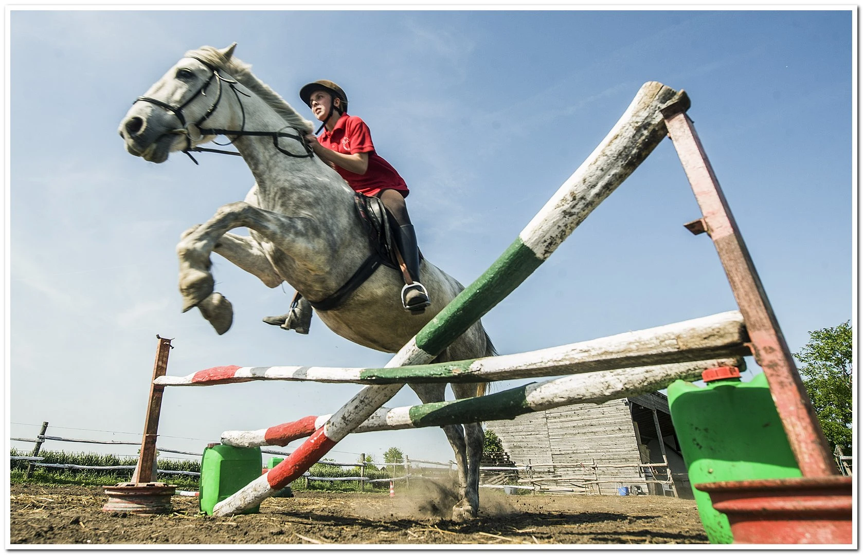 Kisfoktői Lovasiskola - image description