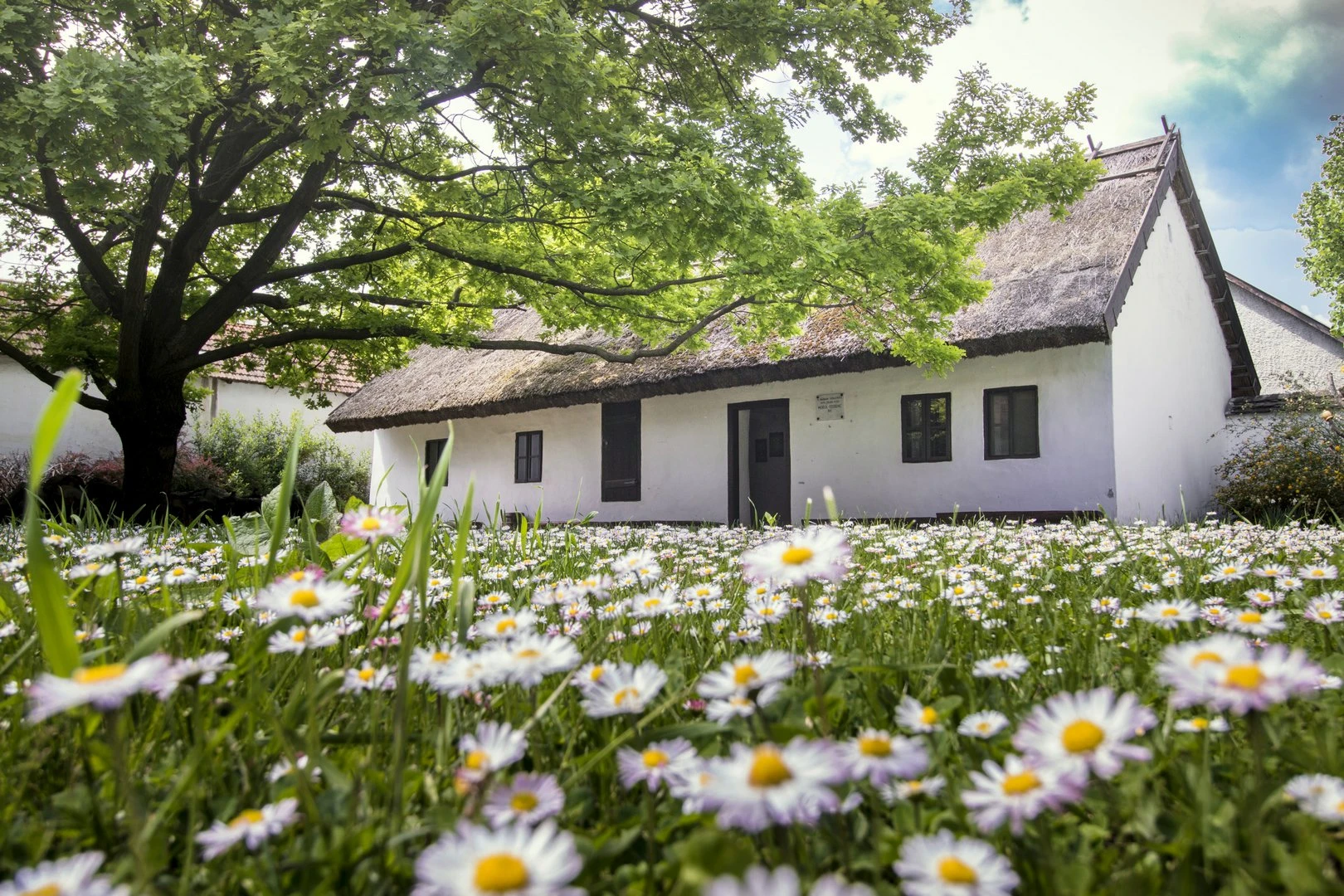 Móra Ferenc Emlékház - image description