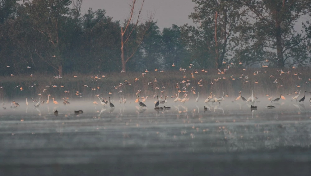 Péteri-tó - image description