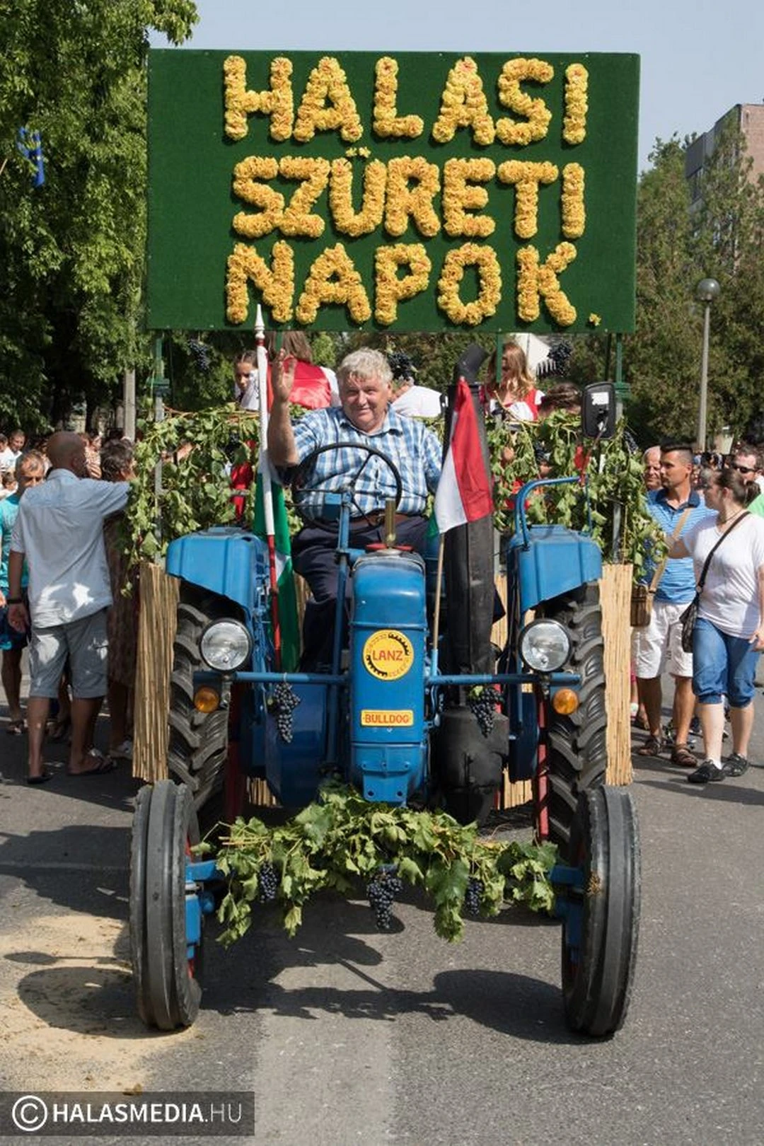 Halasi Szüreti Napok - image description