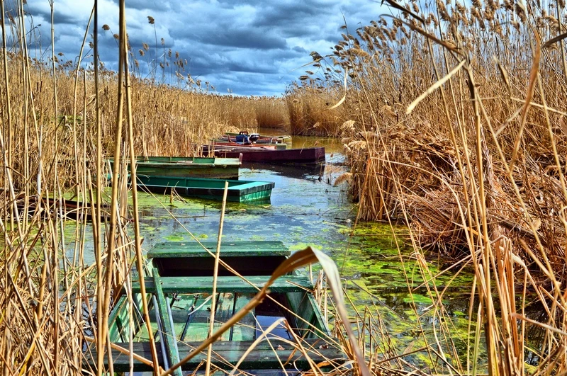 Sóstó és Sóstói parkerdő Kiskunhalas - image description