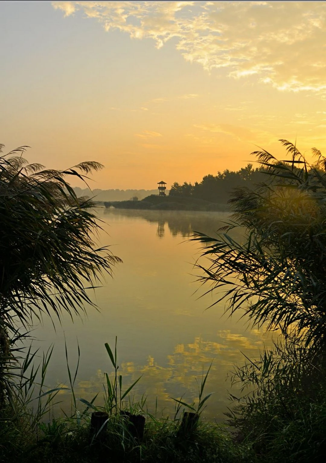 Sóstó és Sóstói Parkerdő - image description