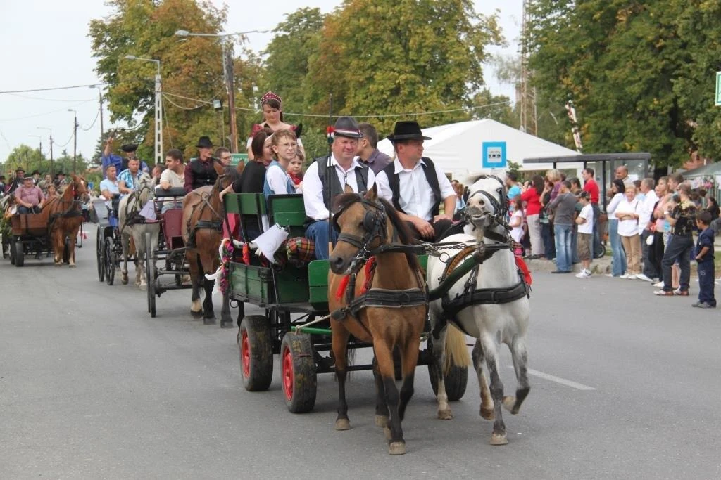 KerekFeszt, Kereki Tojás és Szüreti Fesztivál - image description