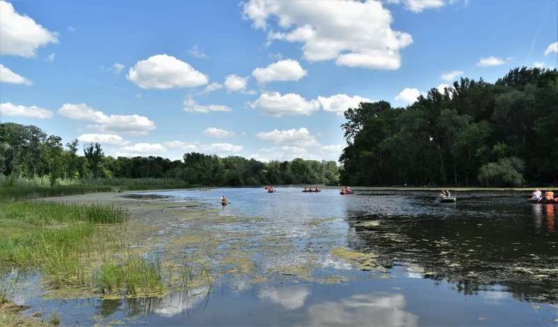 Lakitelek - Tőserdő Szikra és az Alpári-rét - image description
