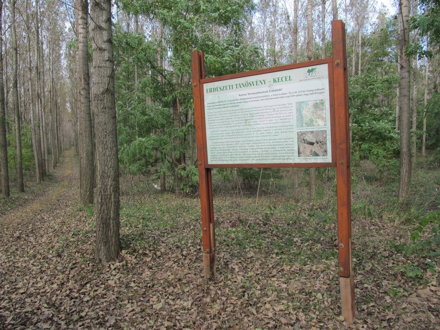 Erdészeti tanösvény - image description