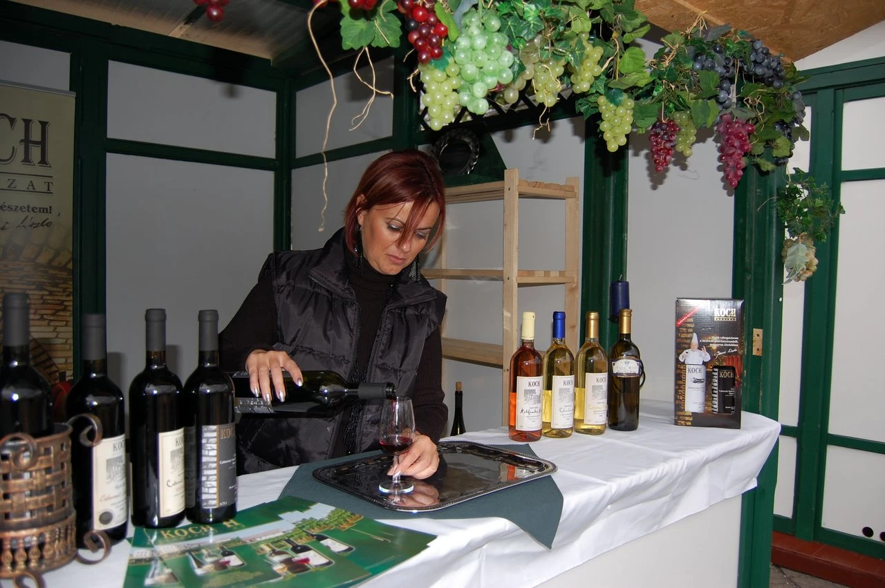 Bajai Újbor Fesztivál- Baja- Gemenc Természeti Napok - image description