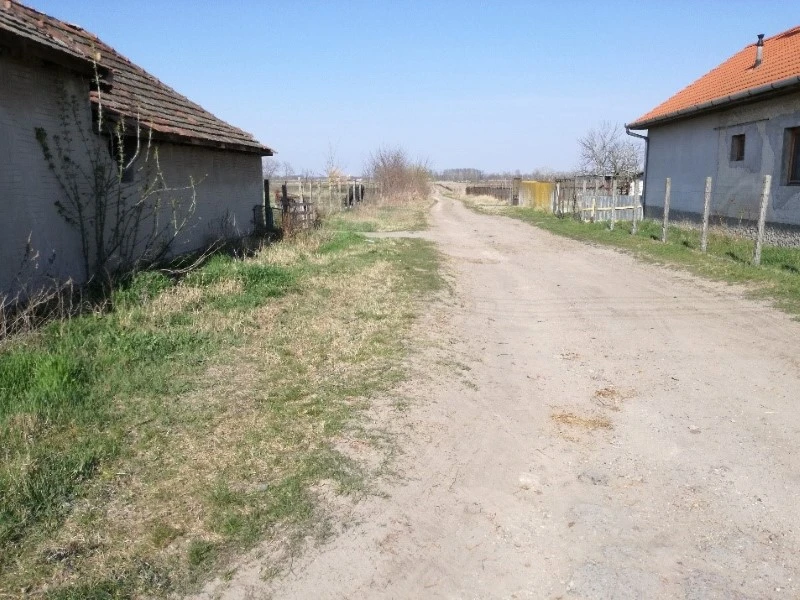6-egyedi-.jpg