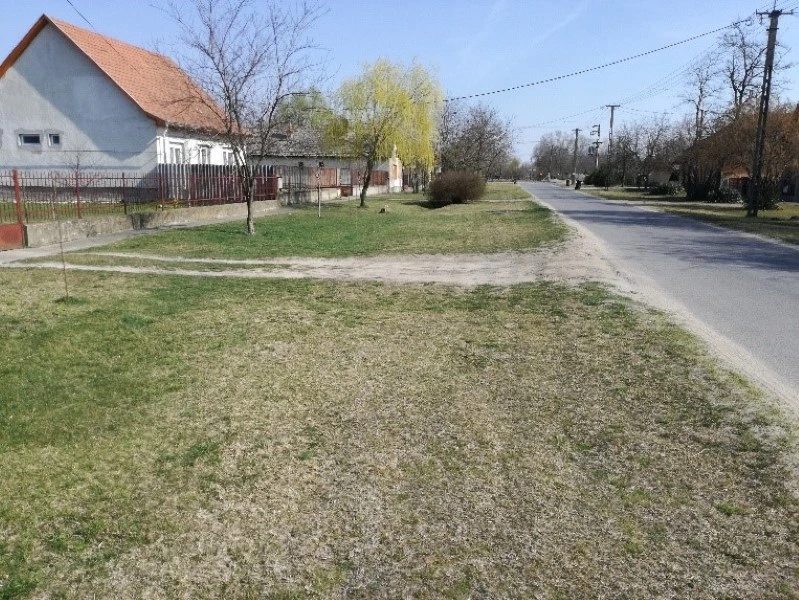 8-egyedi-.jpg