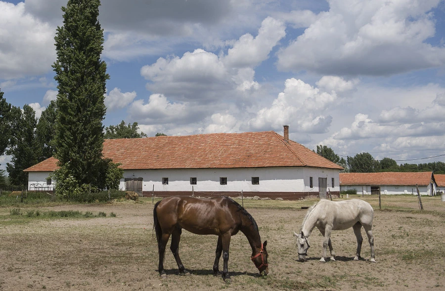Equipuszta Lovasfarm - image description