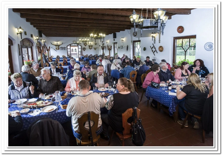 Új Tanyacsárda Lajosmizse - image description
