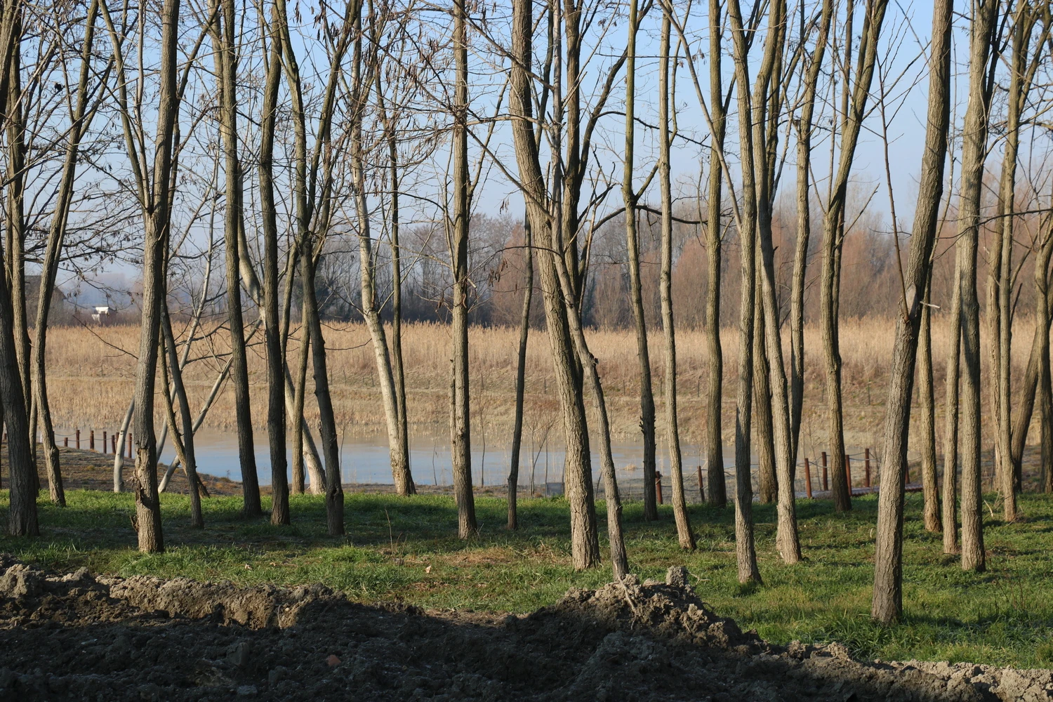 befogad-img-9890.JPG