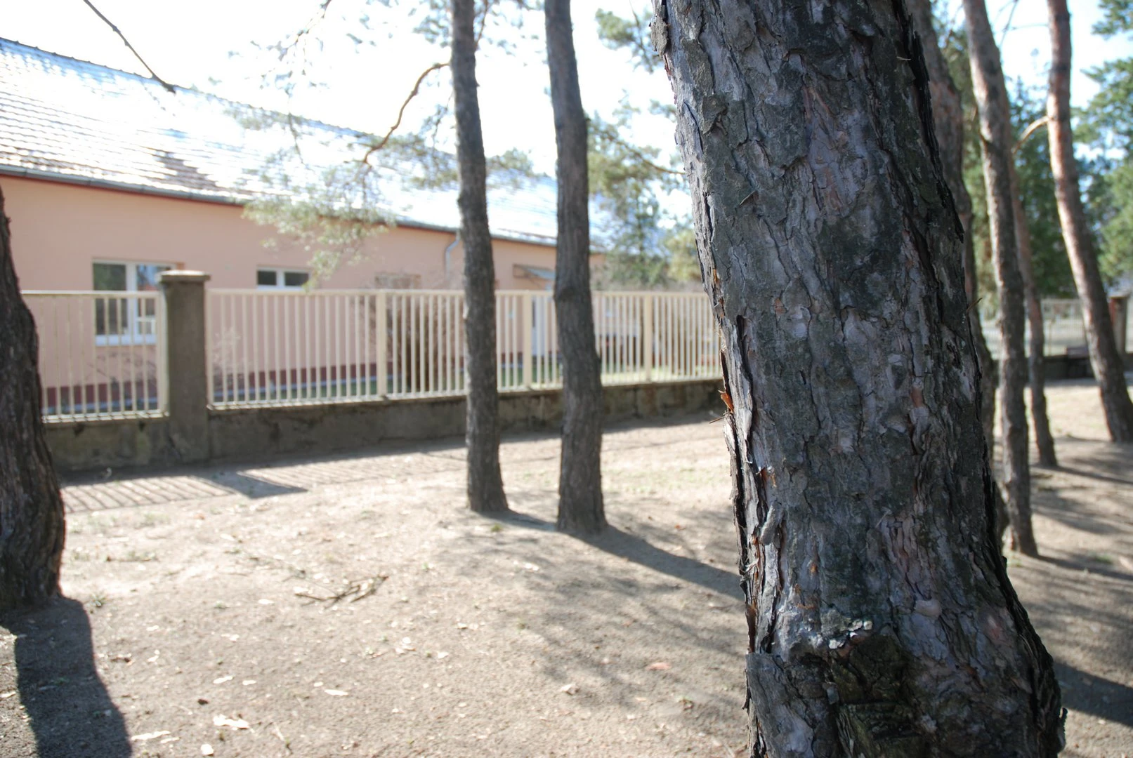 dsc-0924.jpg