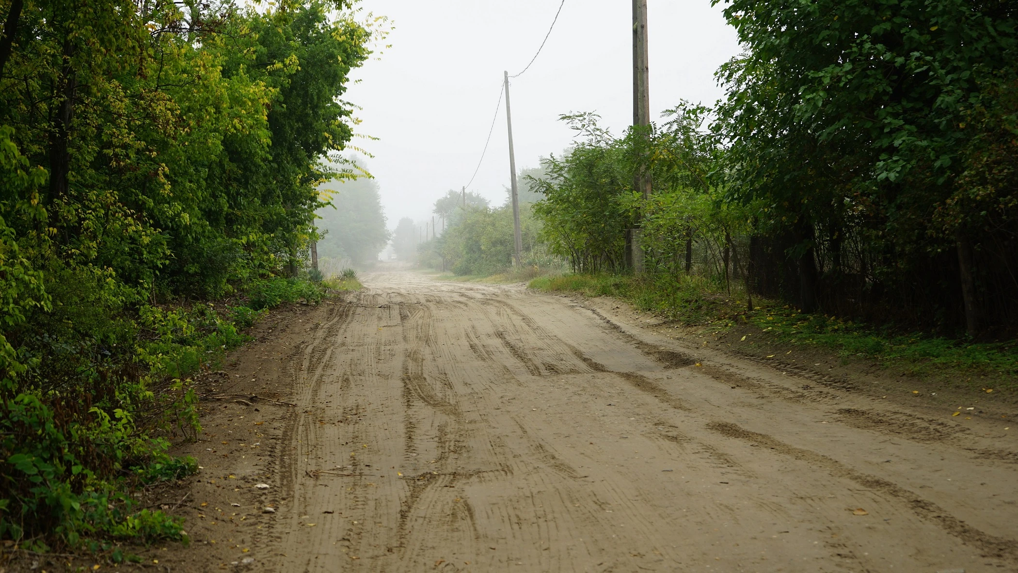 dsc06202.JPG