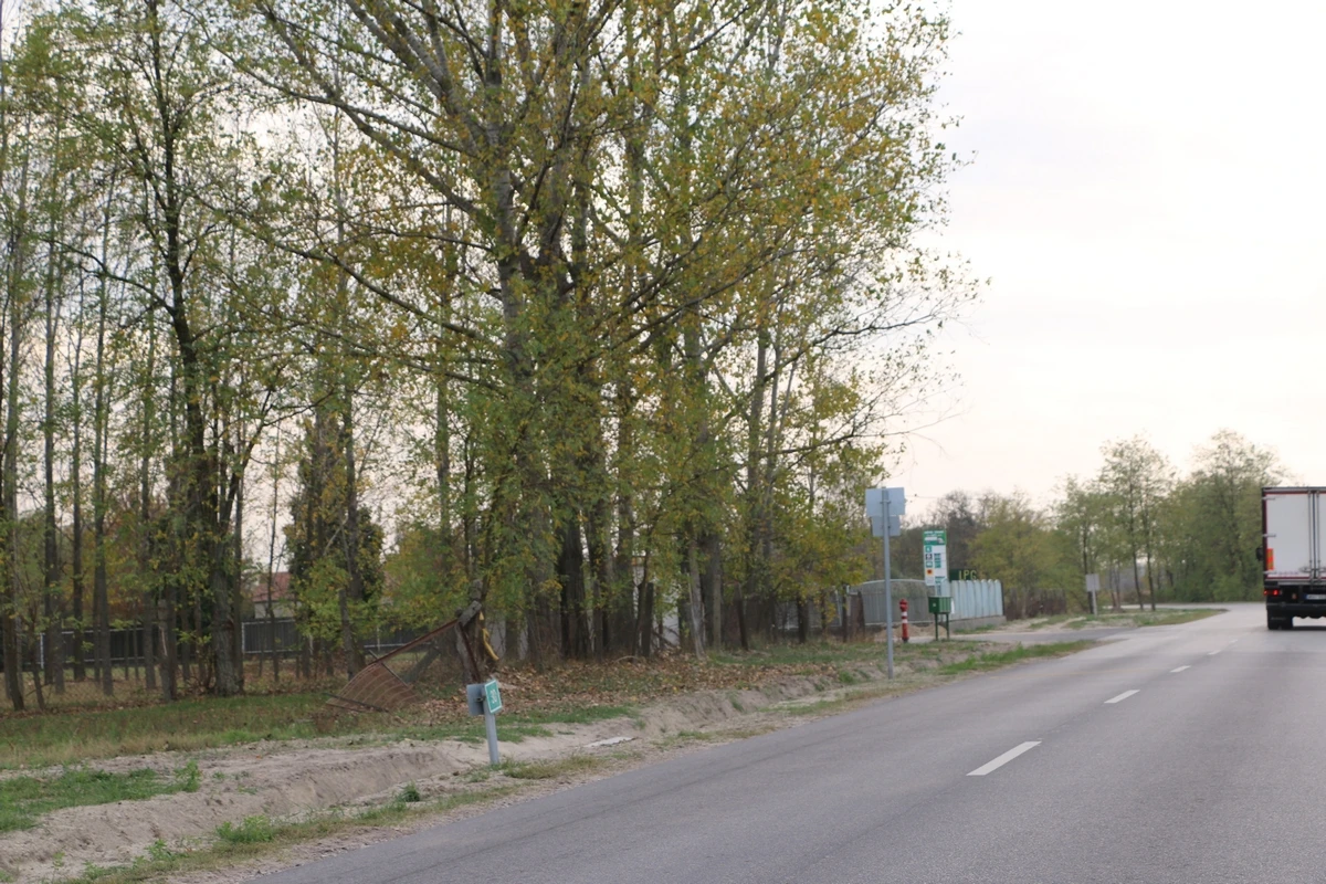 img-4486.jpg