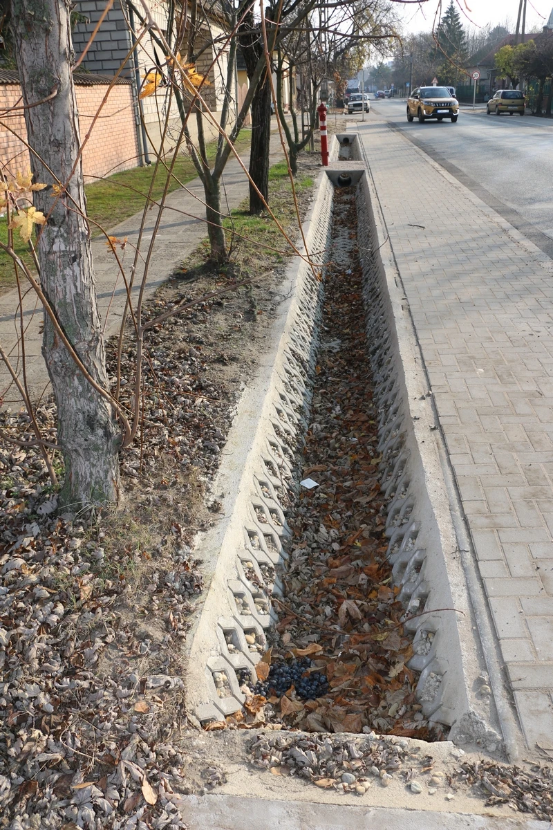 img-4980.jpg