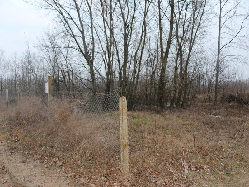 img-5493.JPG