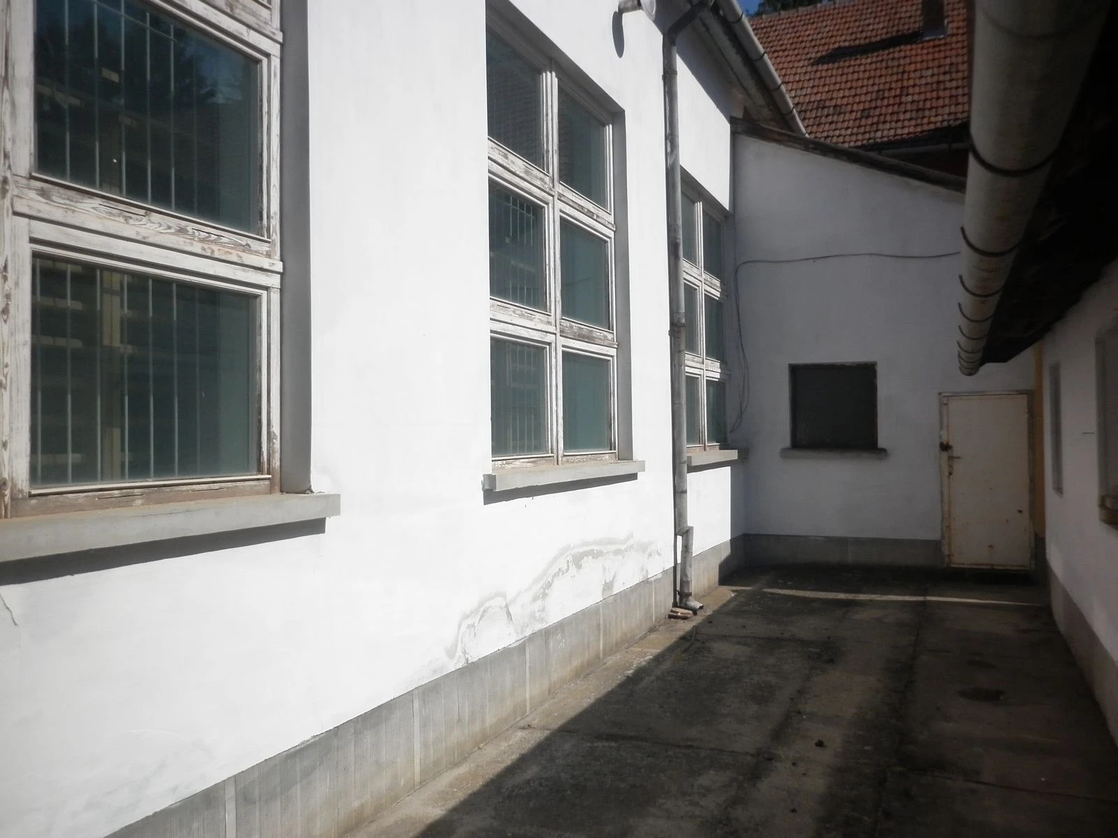 p1000858.jpg