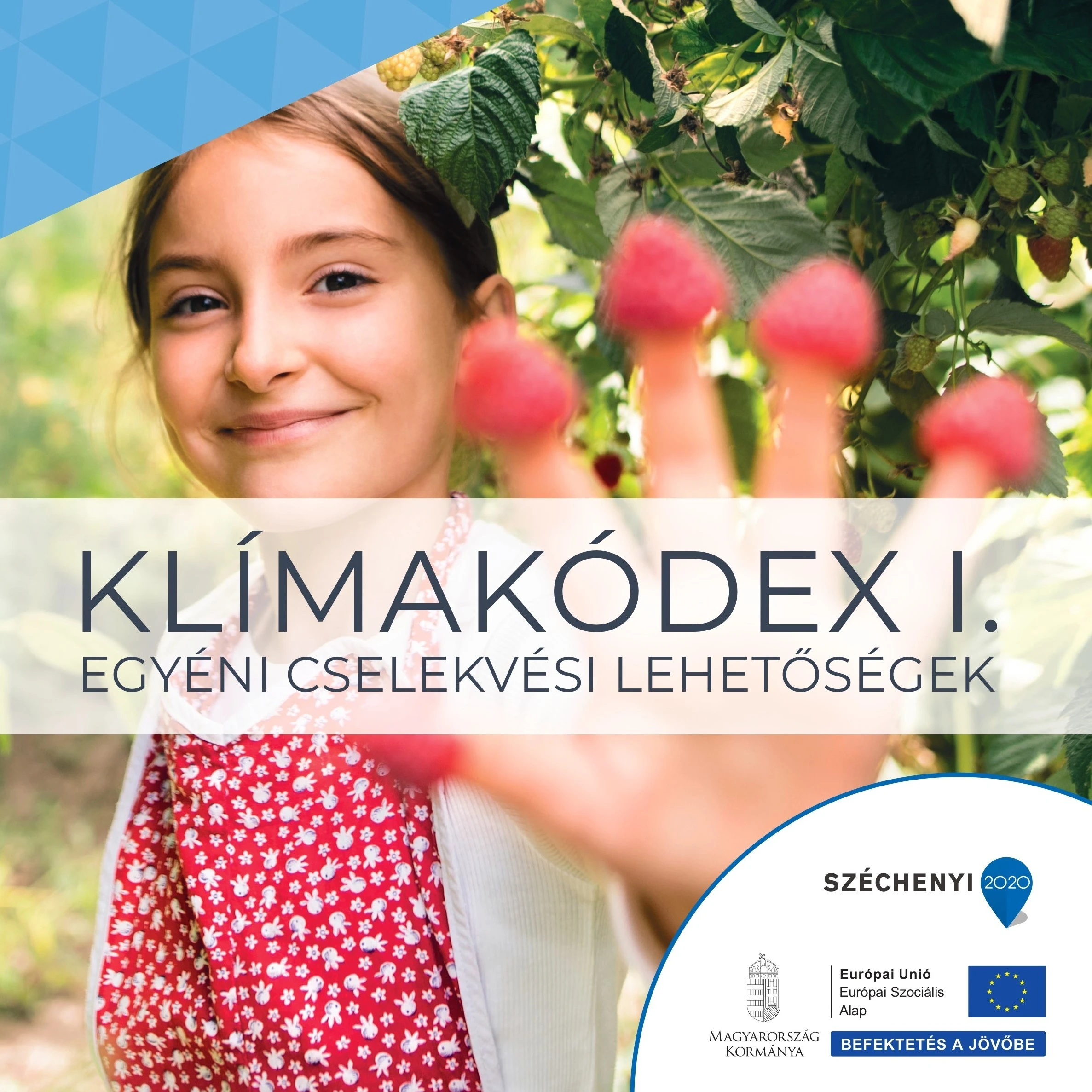 KLÍMAKÓDEX I. - image description