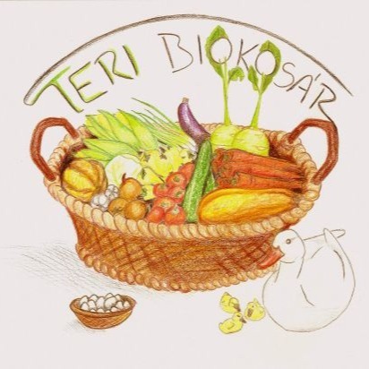 A képen felül "Teri Biokosár" felirat, alatta egy zöldségekkel teli fonott kosár látható.