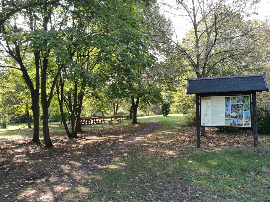 Kecskeméti Arborétum fa- és cserjegyűjteménye - image description