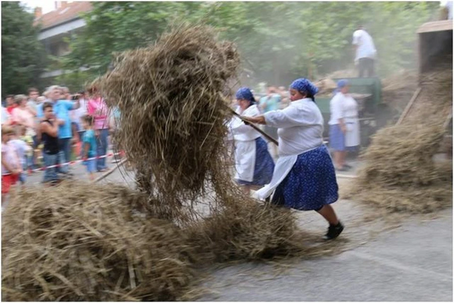 Arató Fesztivál - image description