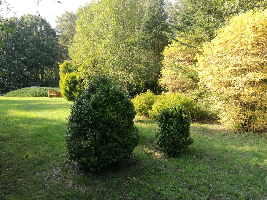 Kecskeméti Arborétum fa- és cserjegyűjteménye - image description