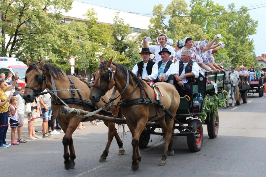 Kiskőrösi Szüret és Szlovák Nemzetiségi Napok - image description