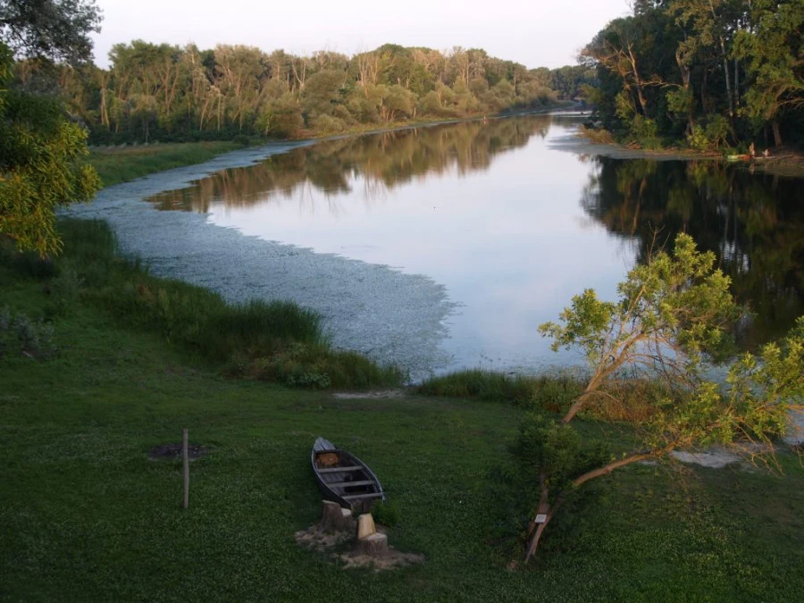 Tőserdő, valamint a szikrai Holt-Tisza természeti értékei - image description