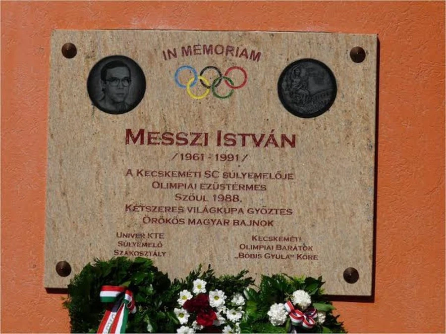 Messzi István életműve - image description