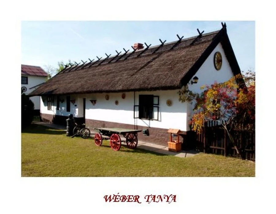 Helvéciai Wéber Tanya - image description