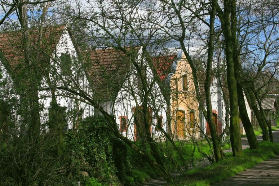 Császártöltési Pincesorok - image description