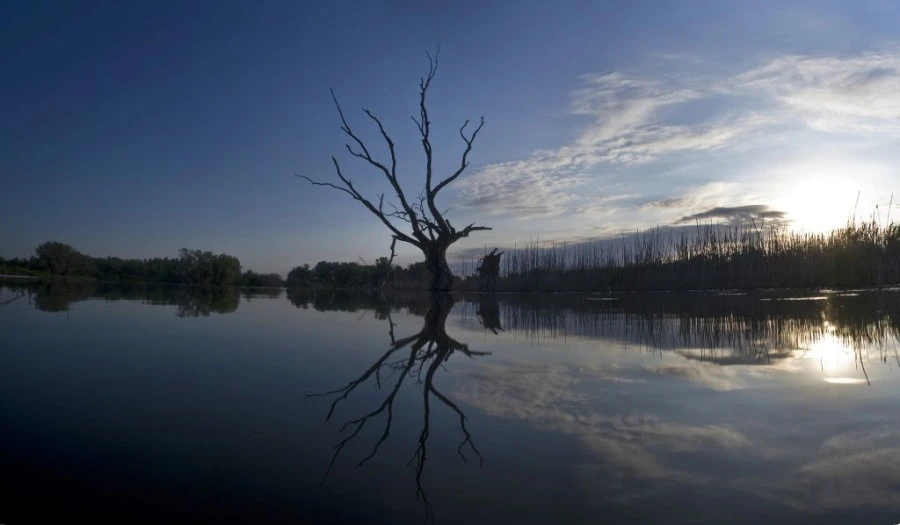 Tiszaalpári Holt-Tisza és az Alpári-rét - image description