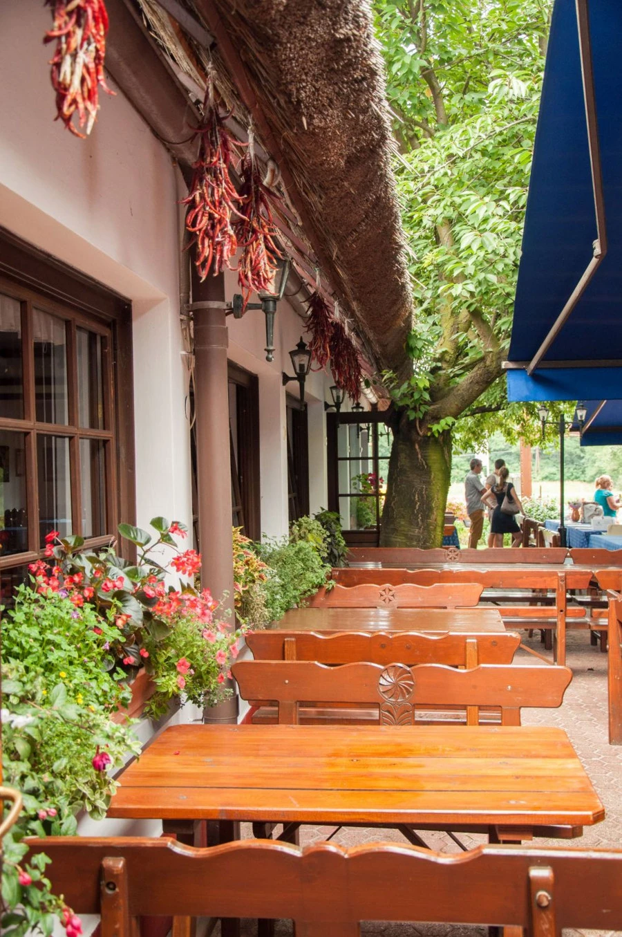 Tanyacsárda - image description